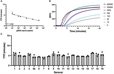 Rapid Detection of Actinobacillus pleuropneumoniae From Clinical Samples Using Recombinase Polymerase Amplification